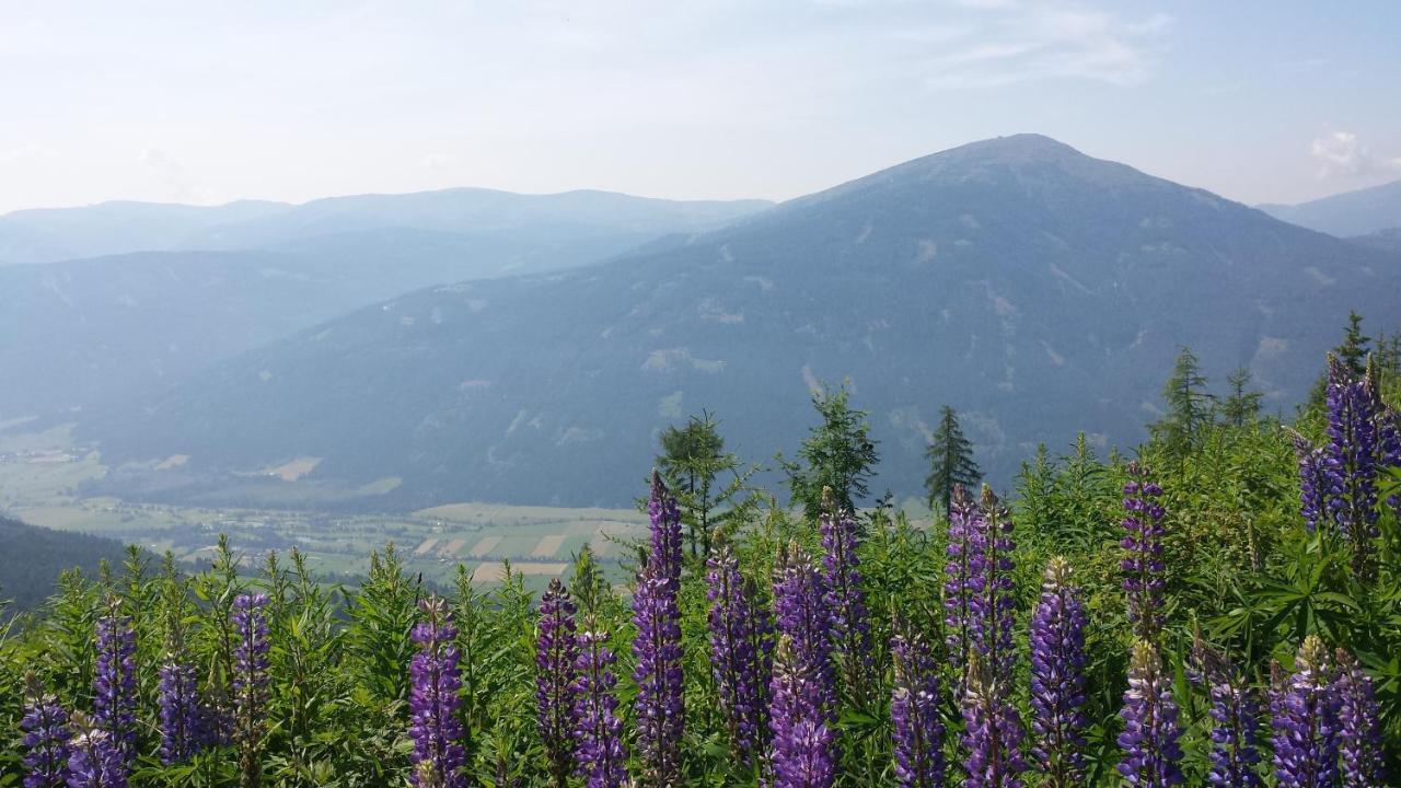 Villa Mountain View Sankt Michael im Lungau Esterno foto